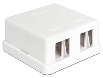 Boitier Keystone 2 ports de surface